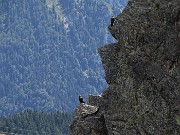 Monte Mincucco (cima 2001 m – croce 1832 m) dai Piani dell’Avaro il 19 agosto 2020 - FOTOGALLERY